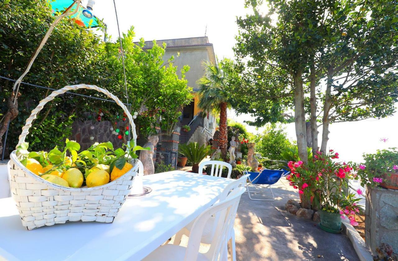 Apartamento La Rosa Del Sud Península Sorrentina Exterior foto